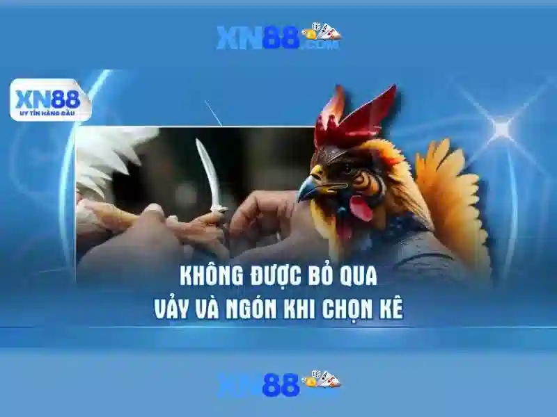 An toàn và bảo mật