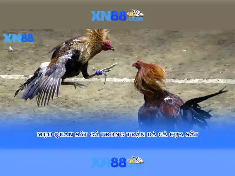Độ tin cậy và an ninh