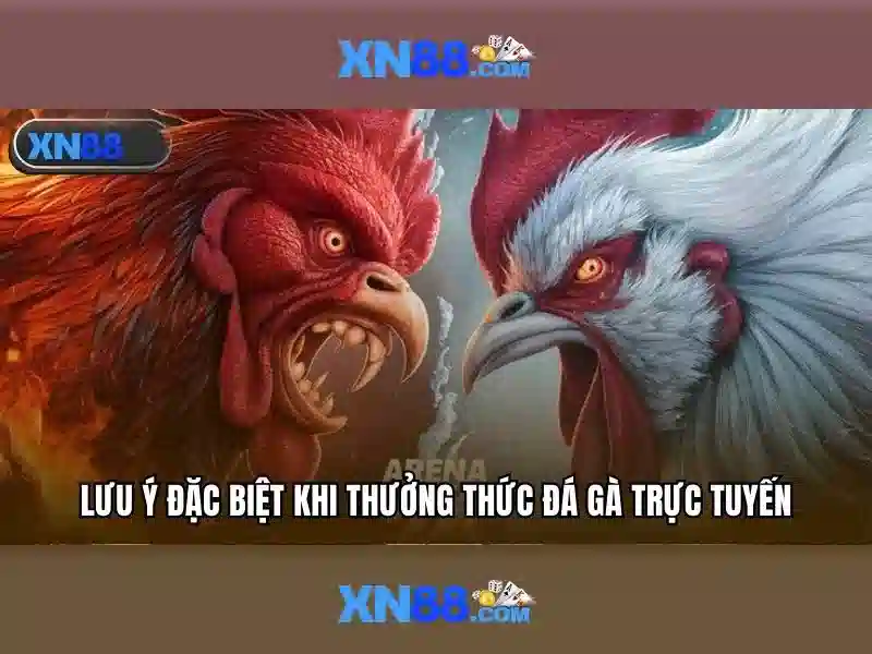 xn88: Tổng quan và tiềm năng
