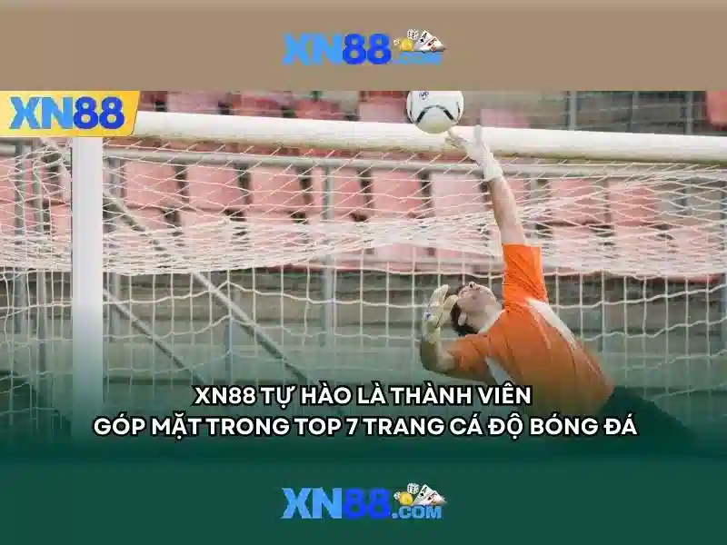 xn88-mobi – Tổng quan chủ đề và giá trị cốt lõi
