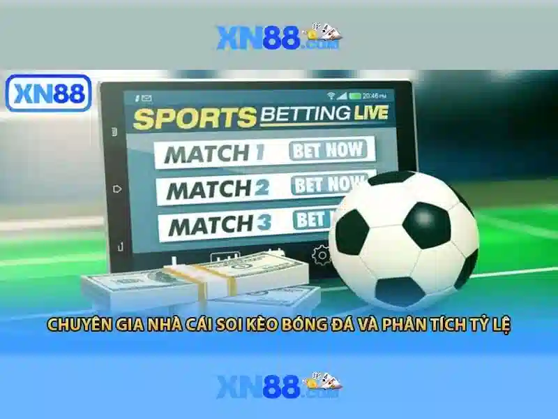 Giới thiệu về xn88
