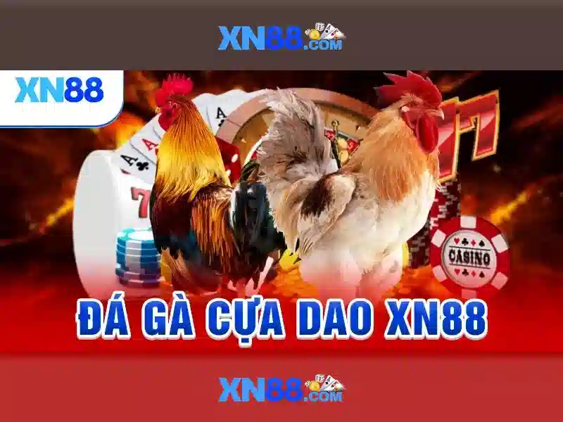 Đặc điểm nổi bật của Xn88