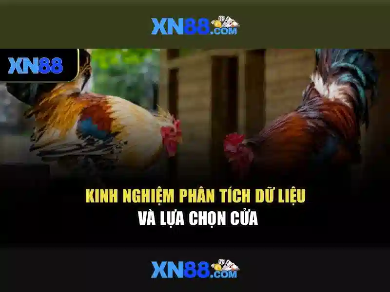 Các trò chơi và tính năng