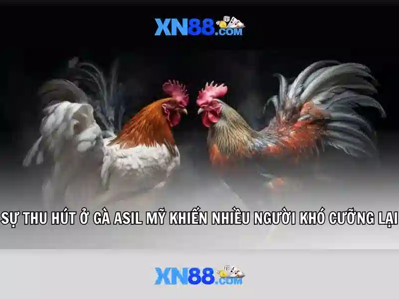 Cách tham gia và khuyến mãi