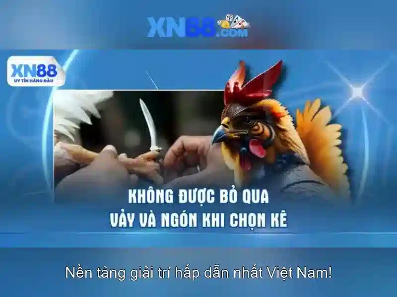 Uu thê va canh tranh