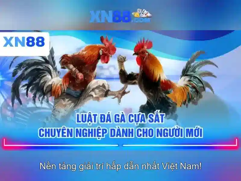 xn88 bet vip – Trải nghiệm đỉnh cao trò chơi trực tuyến