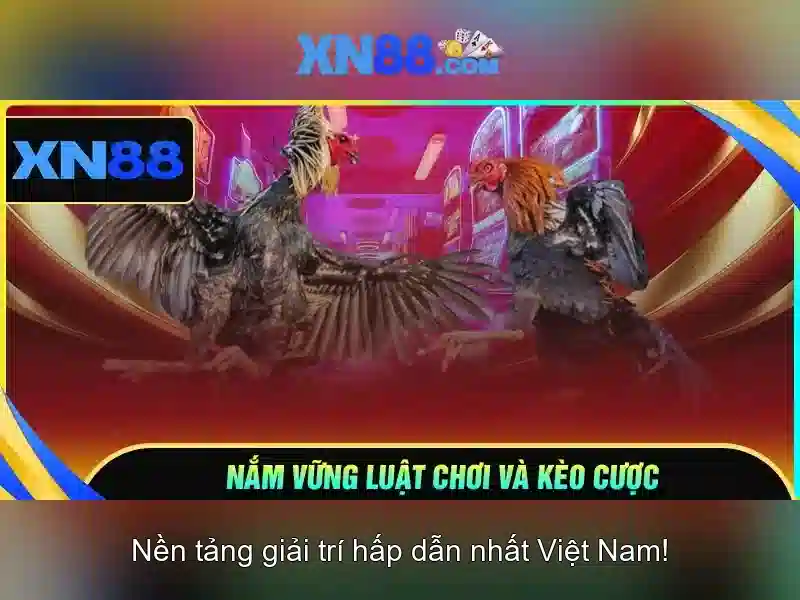 Nền tảng và trò chơi