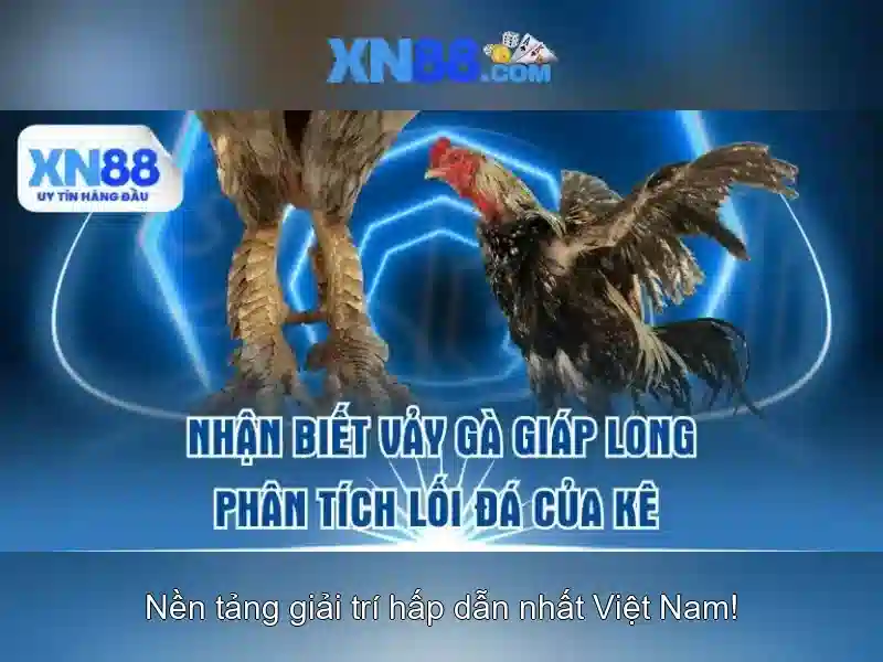 Canh bao som cho nguoi choi 