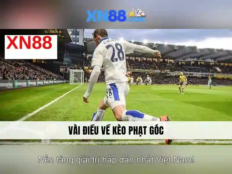Các tính năng nổi bật