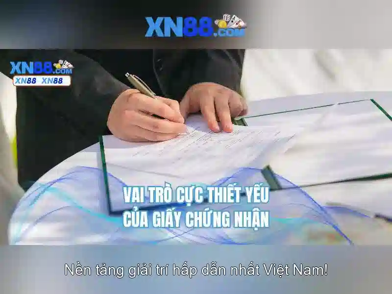 Kết luận về xn88