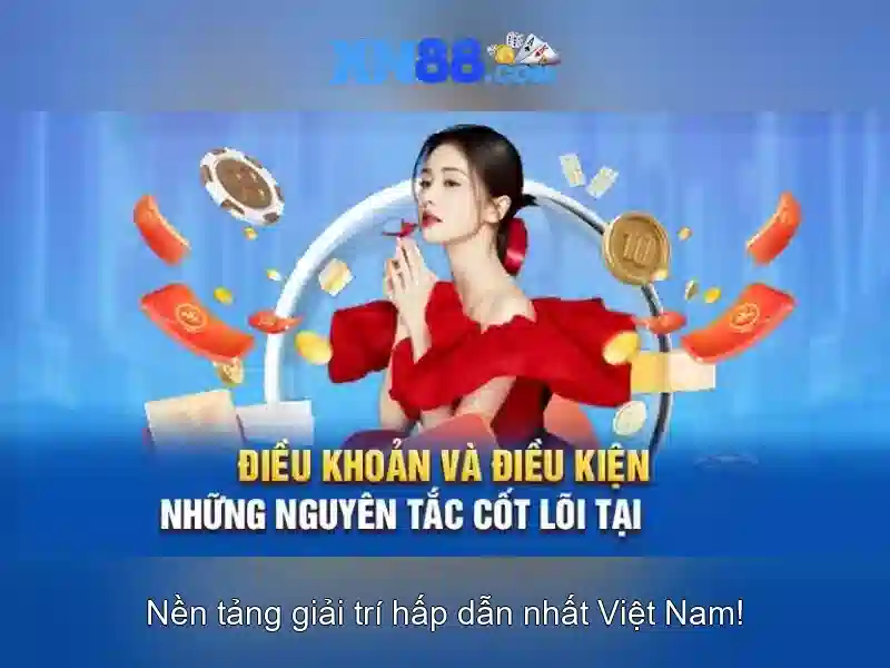 quyen-nghia-vu-nguoi-choi