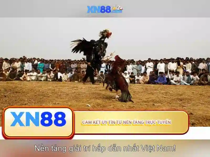 Giới thiệu về xn88