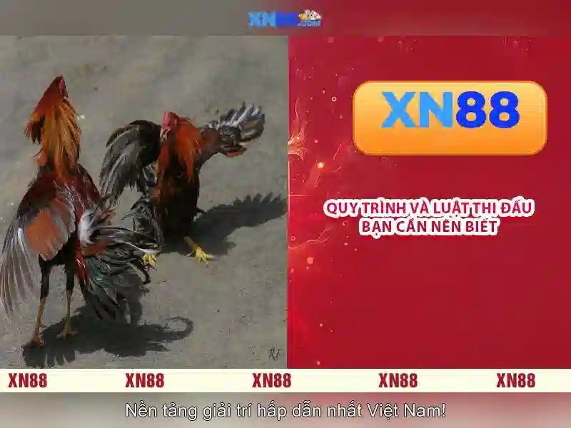 xn88-mobi – Tổng quan, trải nghiệm và cách chơi (ap xn88)